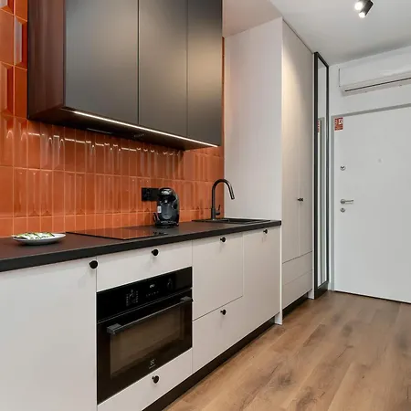 Apartament Elegant With Air Conditioning Pet Friendly By Renters *