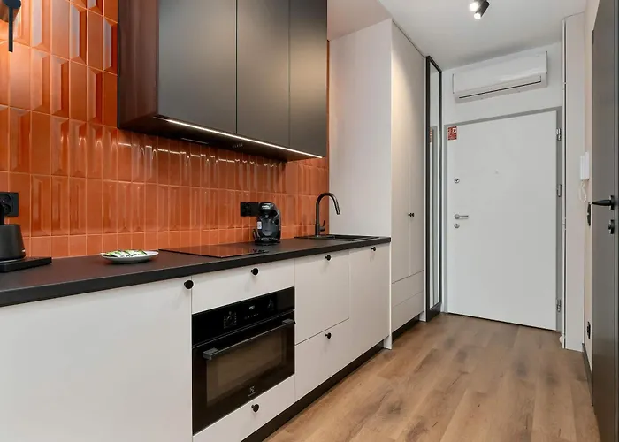 Apartament Elegant With Air Conditioning Pet Friendly By Renters *